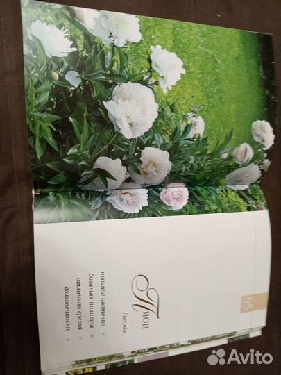 Энциклопедия Садоаые цветы автор Пескова