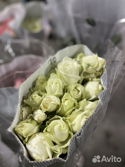 Живые цветы букеты розы