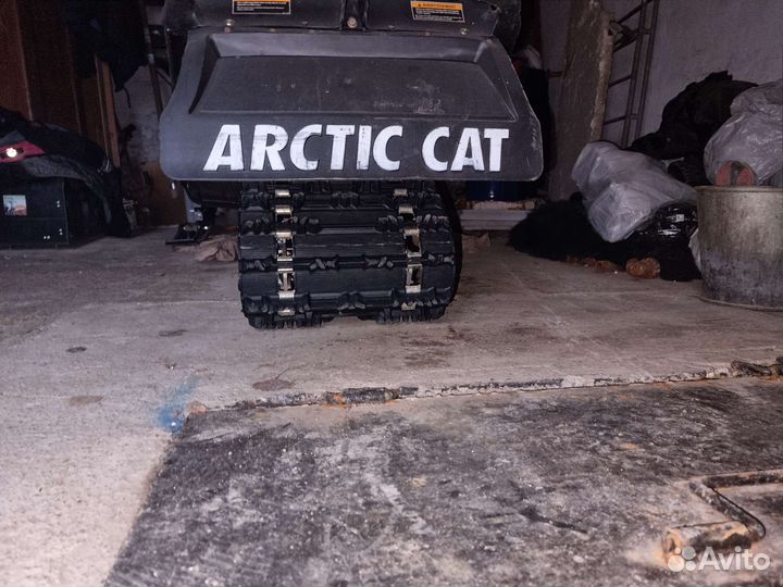 Artic cat