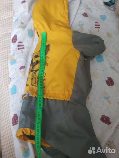 Одежда для собак мелких и средних парод