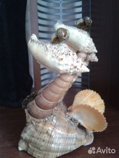 Сувенир из ракушки