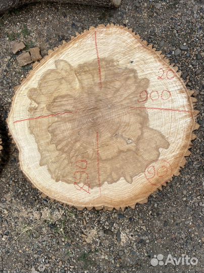 Ясень торцевые спилы