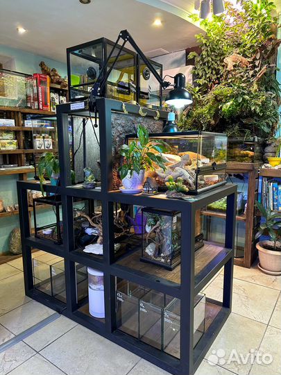 Аквариумсочи