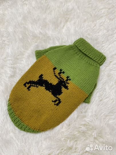 Вязанная одежда для собак