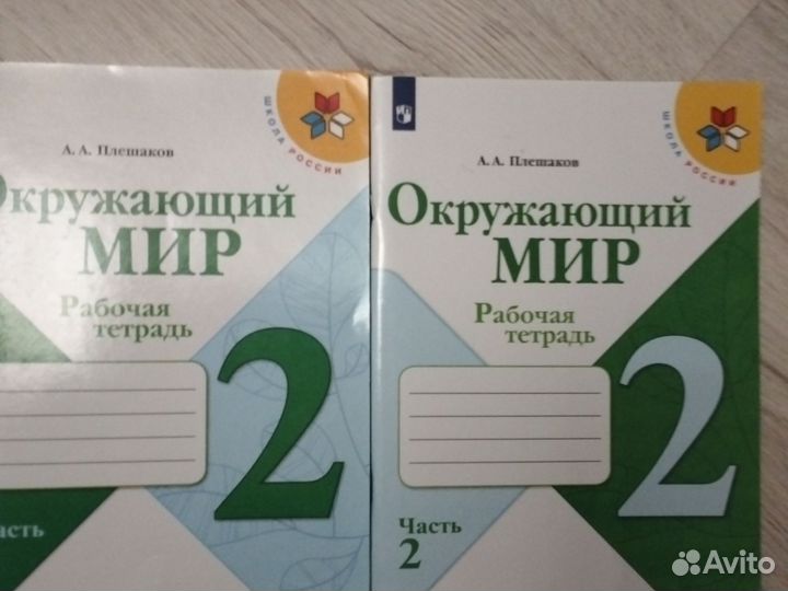Рабочая тетрадь по окружающему миру 2 класс