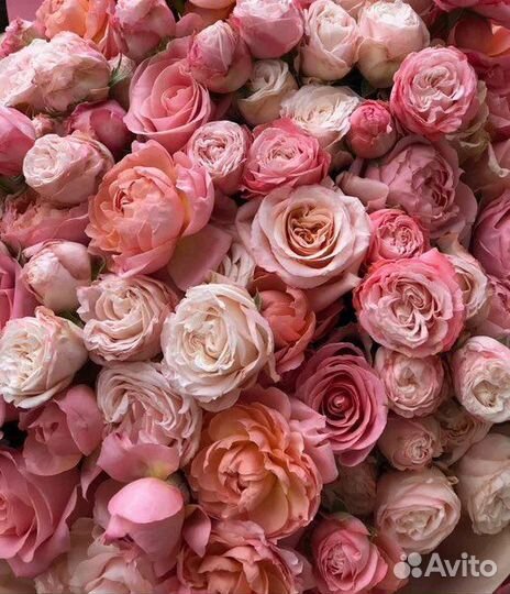 Букет гигант из пионовидной розы,доставка