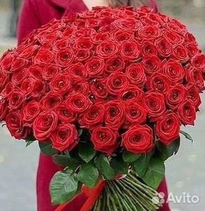 Розы гиганты 140 150 160 170 180 200
