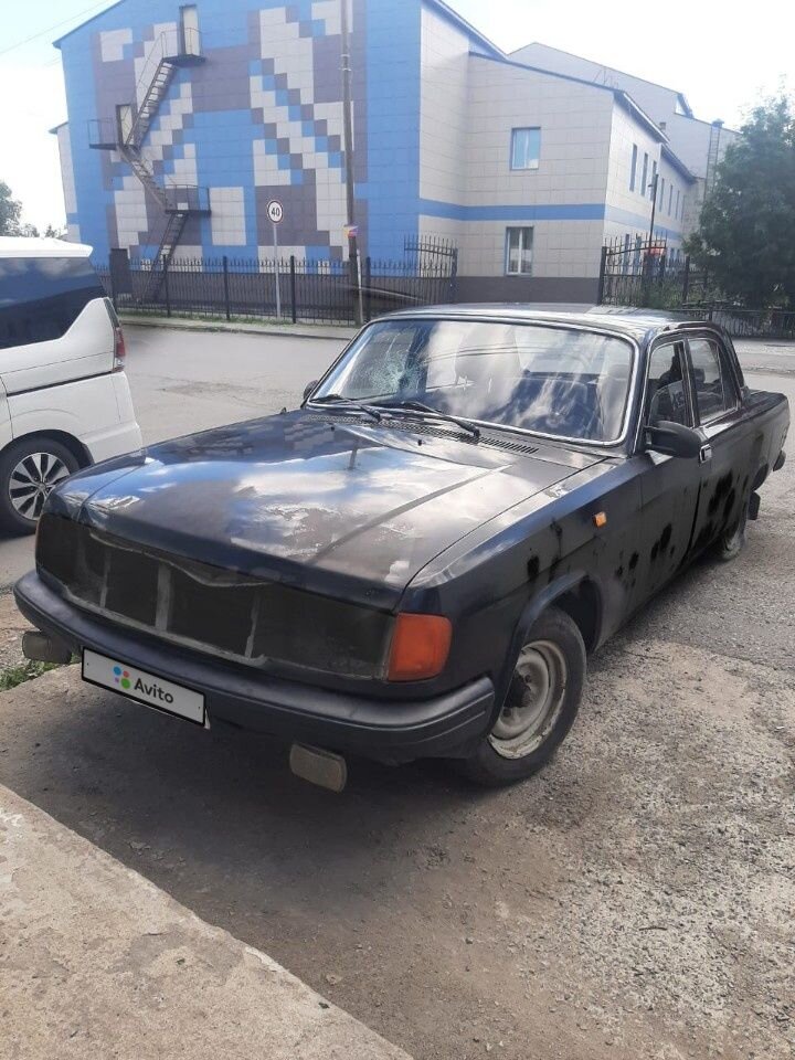 ГАЗ 31029 Волга: фото владельца