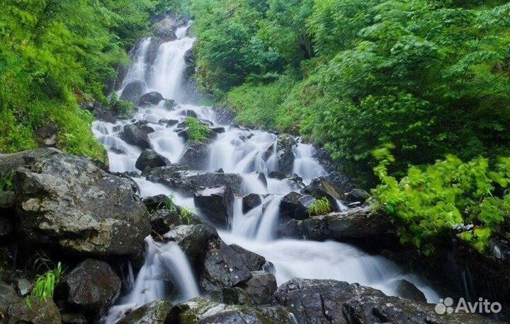 Экскурсия на Мерседес спринтер по Абхазии