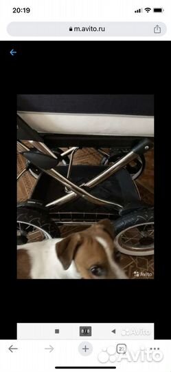 Коляска люлька Peg Perego 2 в 1