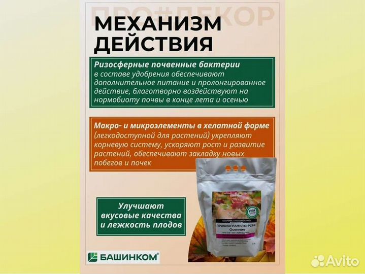 Пробиогранулы pgpr Осенние