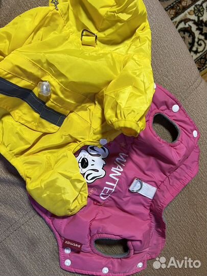 Одежда для маленьких собак xs