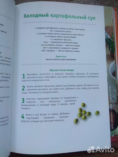 Любимая картошка