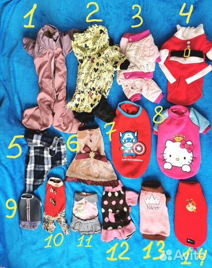 Много разных товаров для разных животных