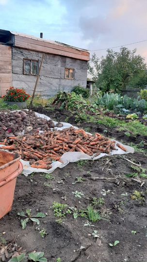 Дача 10 м² на участке 4 сот.