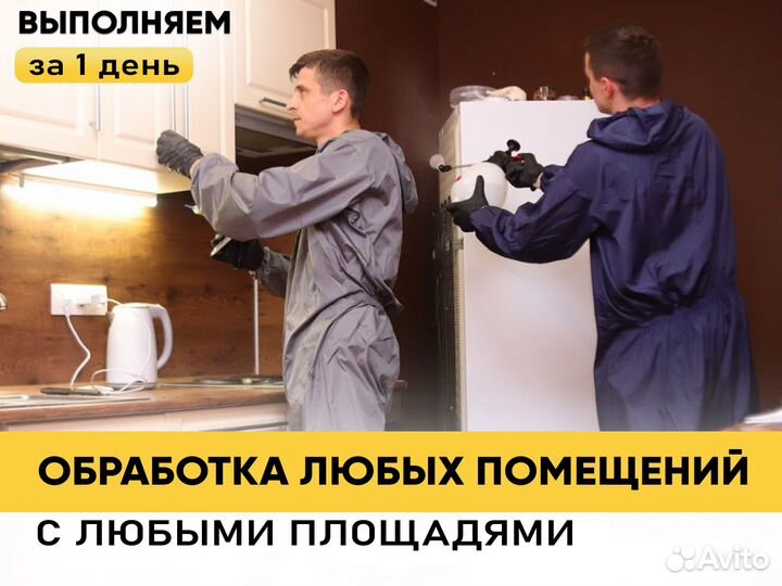 Уничтожение клопов, тараканов. Дезинфекция