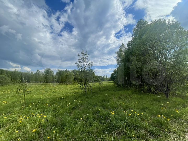 Участок 4,9 га (СНТ, ДНП)