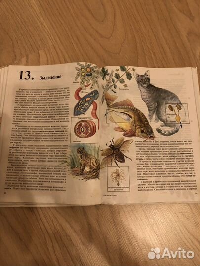 Учебник биологии 6 класс