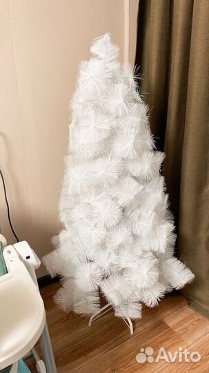Сосна новогодняя