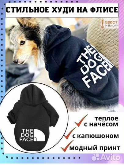 Одежда для собак