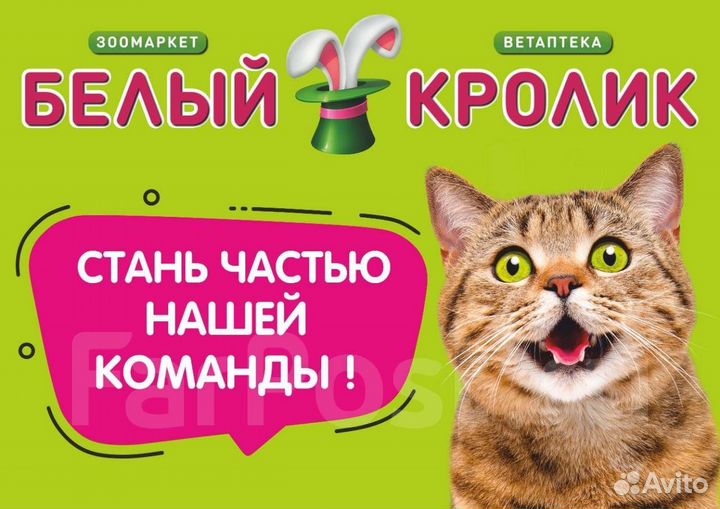 Управляющий сменой магазина