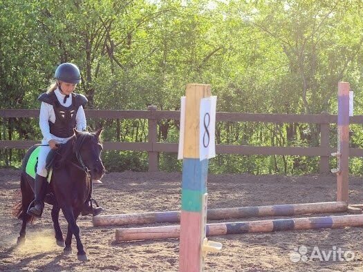 Занятия верховой ездой на пони