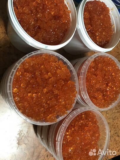 Продажа икры лососевой