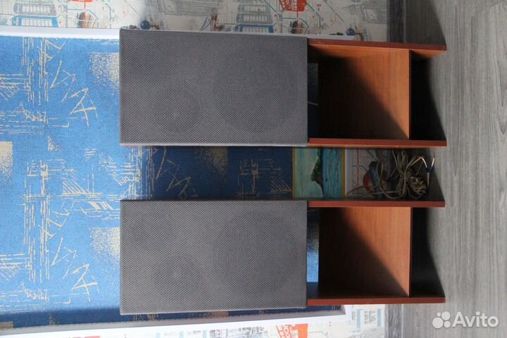 Колонки Вега 25ас 109