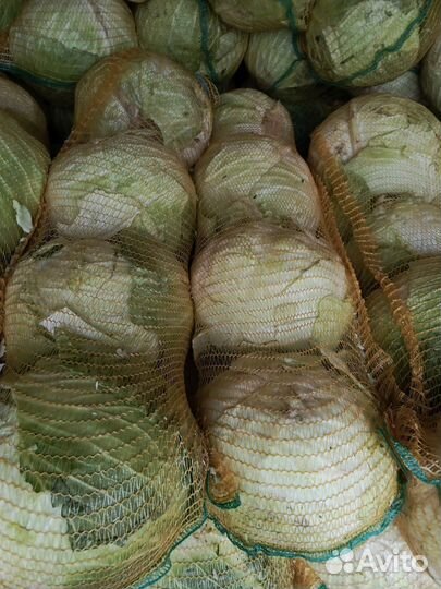 Капуста Слава для засолки с бесплатной доставкой