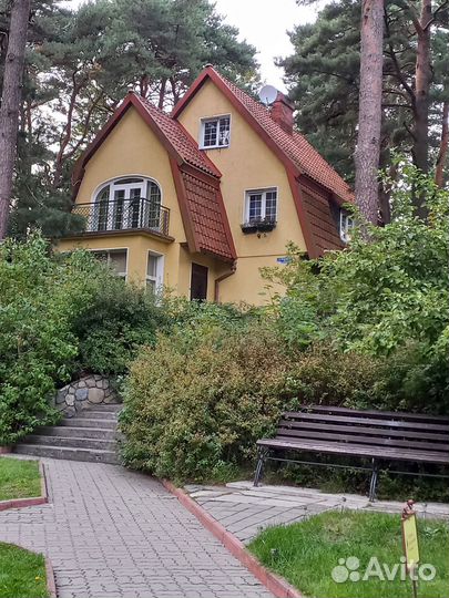 Лучшие экскурсии по Светлогорску, Пионерскому