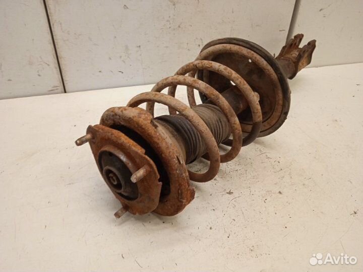 Амортизатор передний правый Chery Tiggo T11 DB