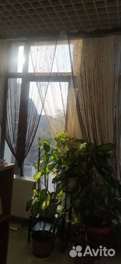 Шторы декоративные