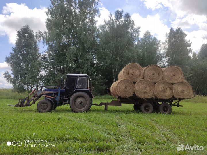 Сено в рулонах