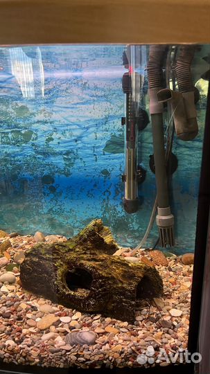 Панорамный аквариум aquael 95 литров тумба графит