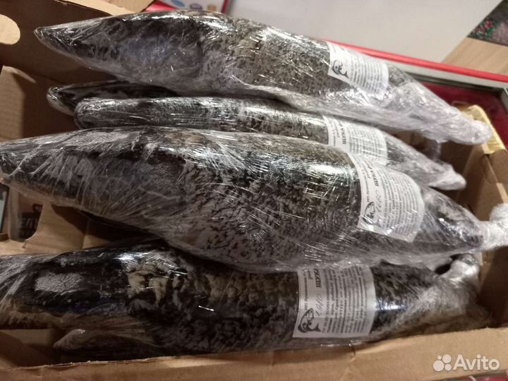 Щука фаршированная, запекаемая