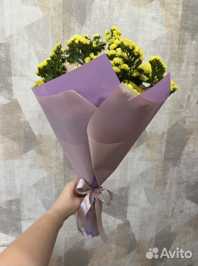 Цветы сухоцветы