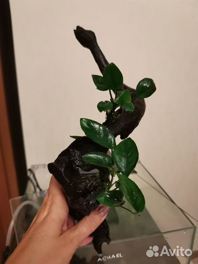 Продаётся аквариум aqael30 литров