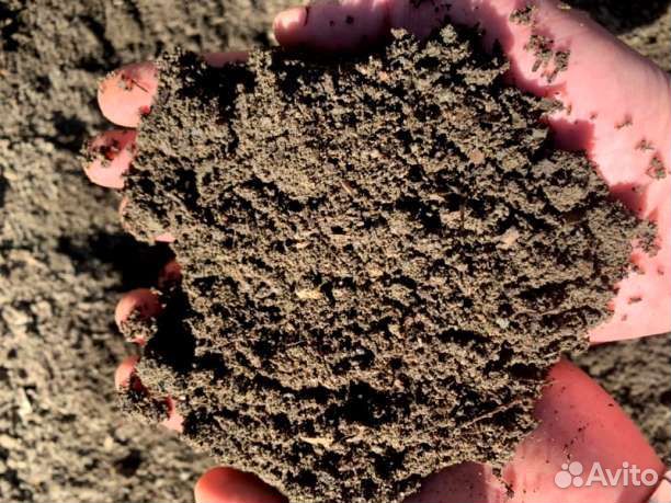 Торф, плодородная почва и конский перегной - смесь