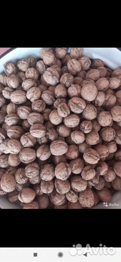Продам грецкий орех в скорлупе