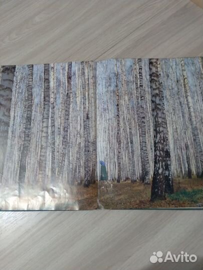 Фотоальбом книга Подмосковье