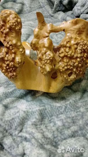 Ваза-фантазия, из нат. Капа