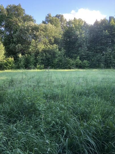 Участок 4 сот. (ИЖС)