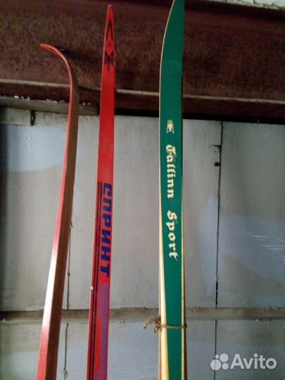 Продам лыжи