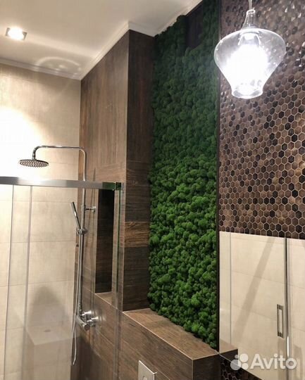 Фитопанно из мха 70 см