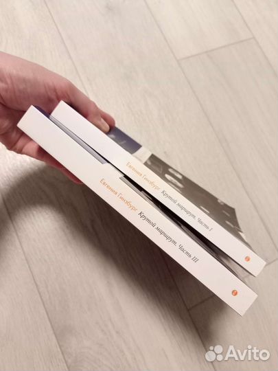 Гинзбург крутой маршрут