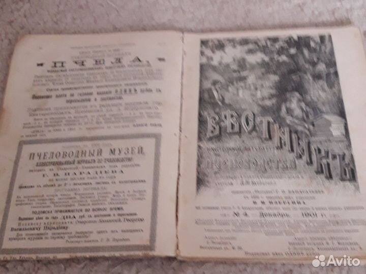 Вестник пчеловодства 1901