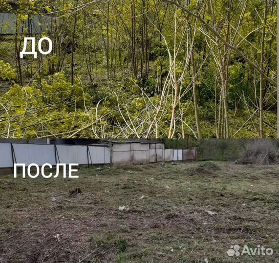 Расчистка участков, спил деревьев, покос травы