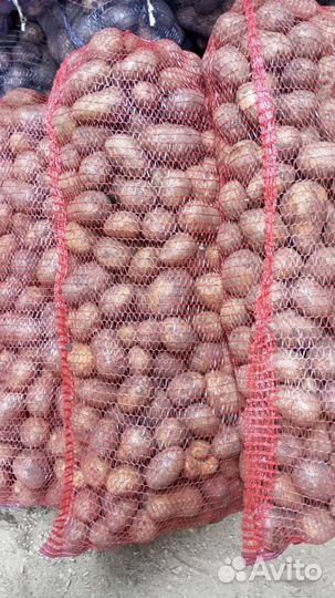 Продам картофель с доставкой