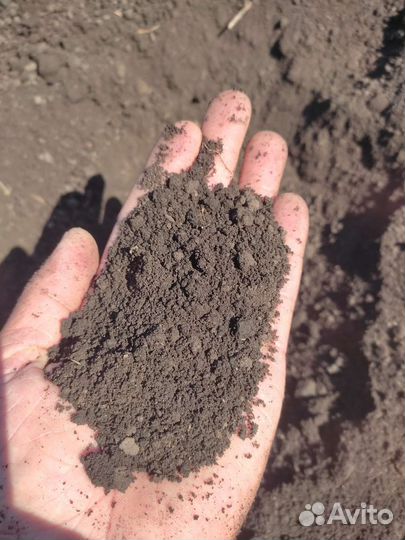 Конский перегной, навоз