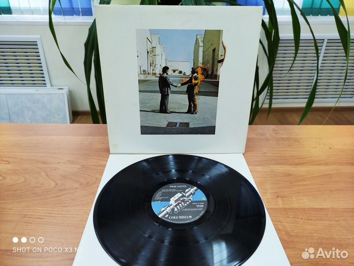 Пластинка Pink Floyd